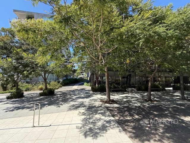 place photo 74