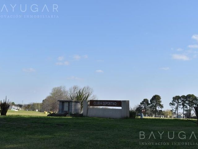 place photo 38