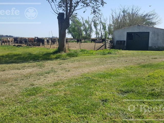 place photo 17