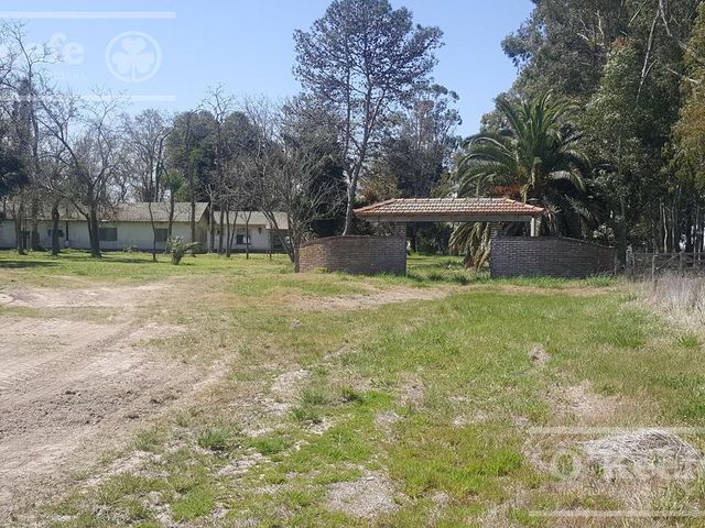 place photo 14