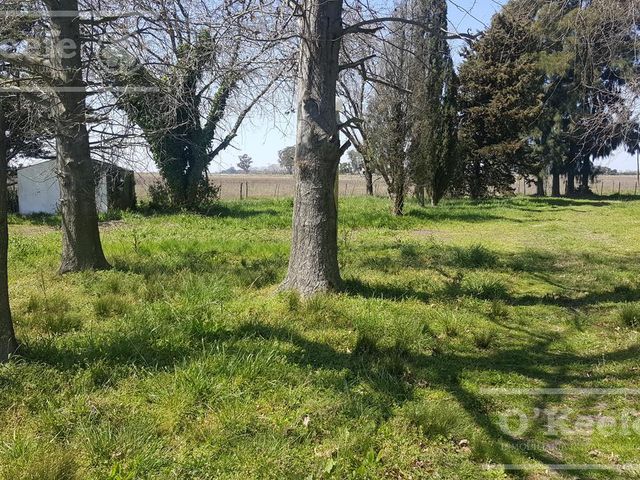 place photo 16