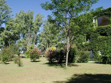 place photo 37