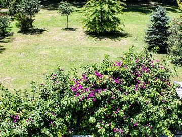 place photo 33