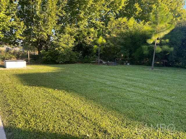 place photo 68