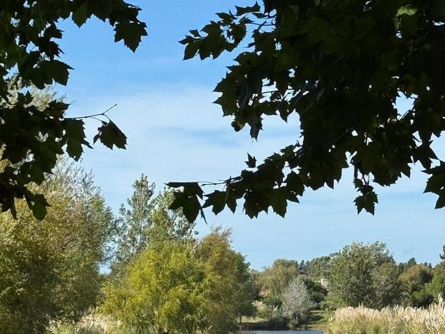 place photo 91