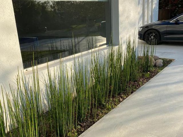 place photo 50