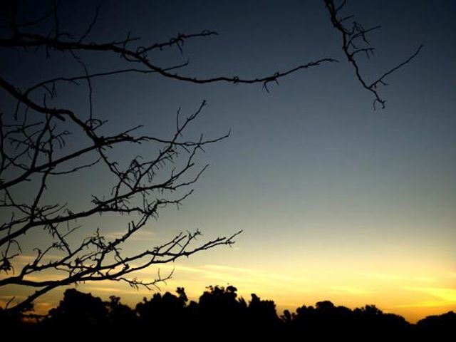 place photo 58