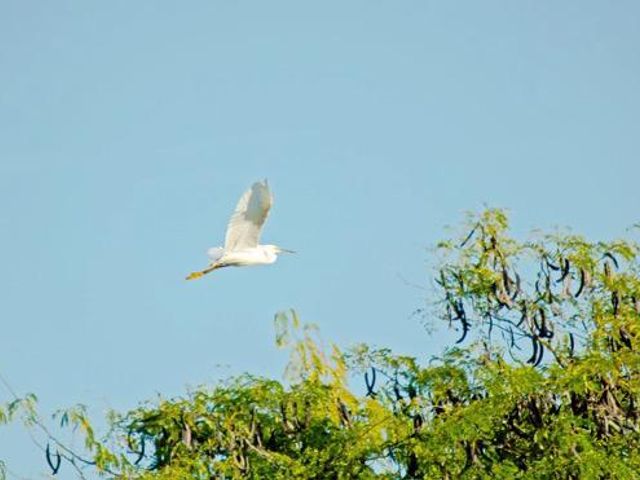 place photo 56