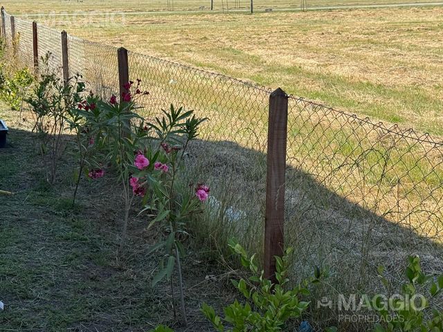 place photo 34
