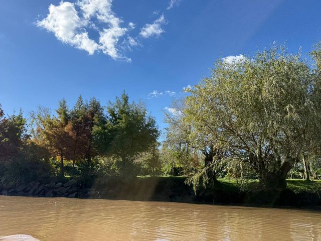 place photo 31