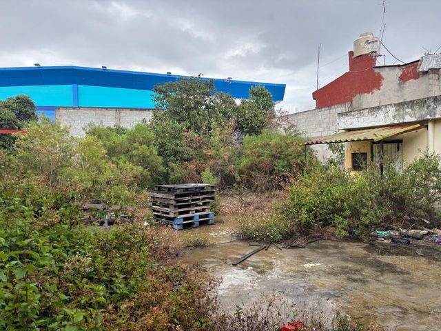 place photo 7
