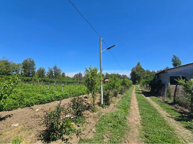 place photo 31