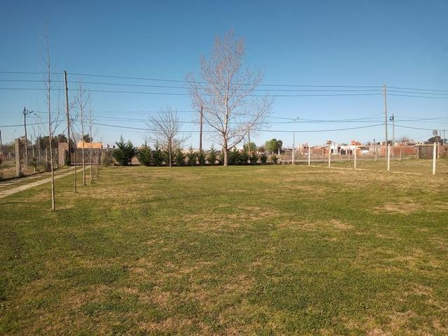 place photo 16