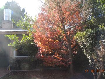 place photo 49