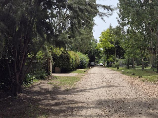 place photo 21