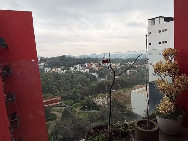 place photo 27