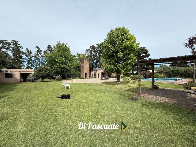 place photo 15