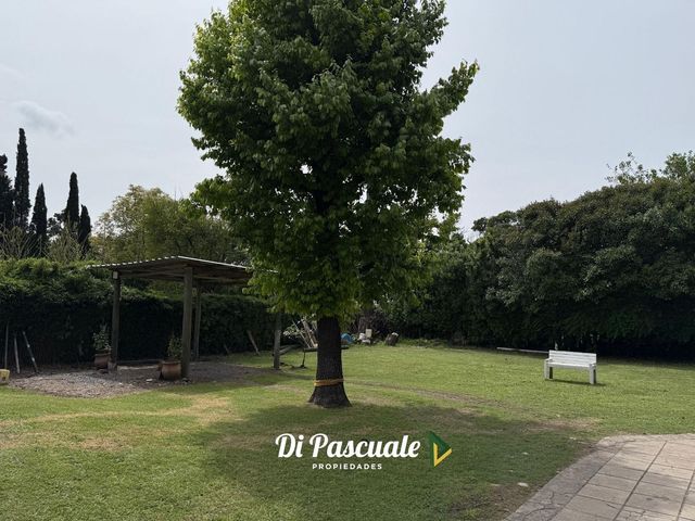place photo 47