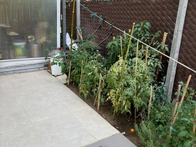 place photo 53