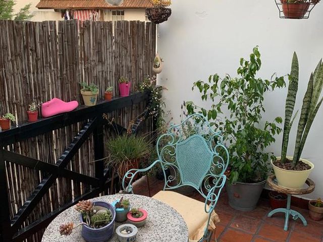 place photo 26