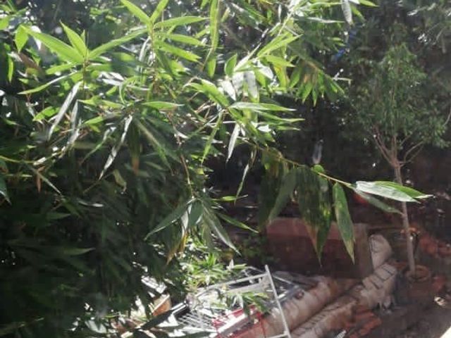 place photo 30