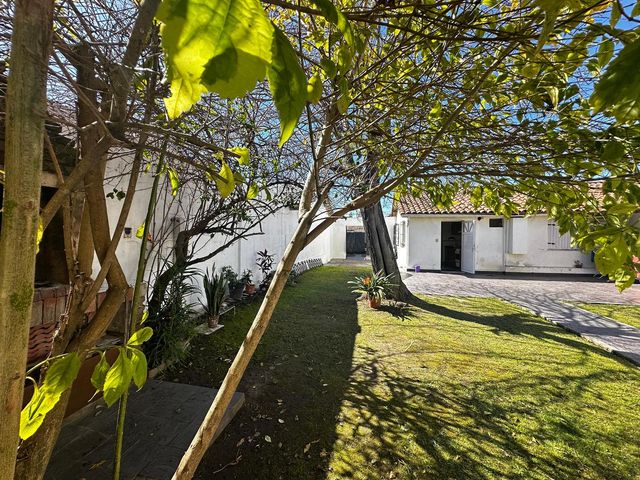 place photo 36