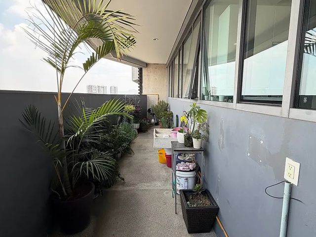 place photo 38