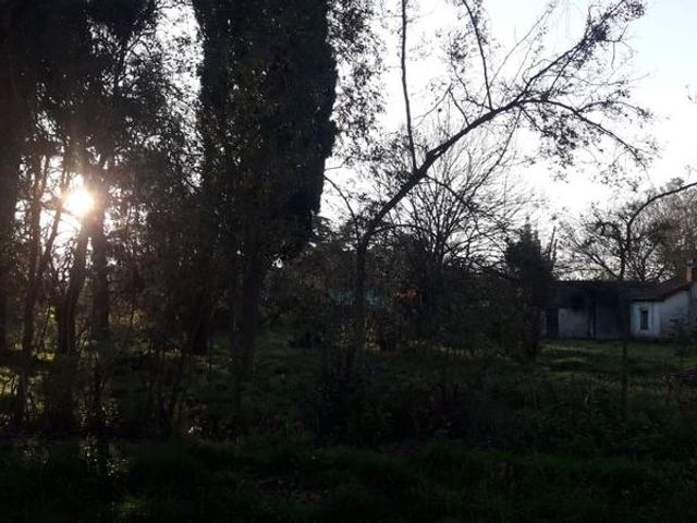 place photo 12