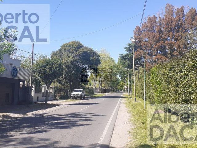 place photo 48