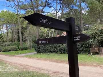 place photo 63