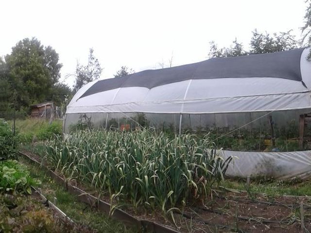 place photo 33
