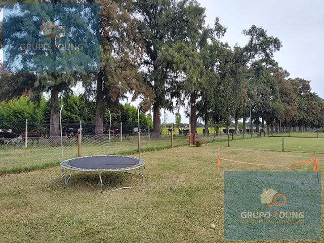 place photo 46