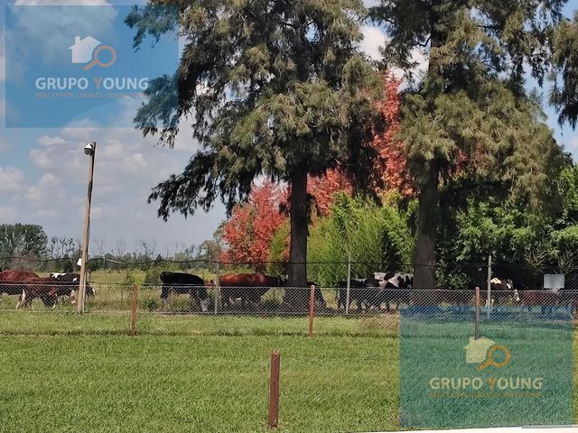 place photo 48