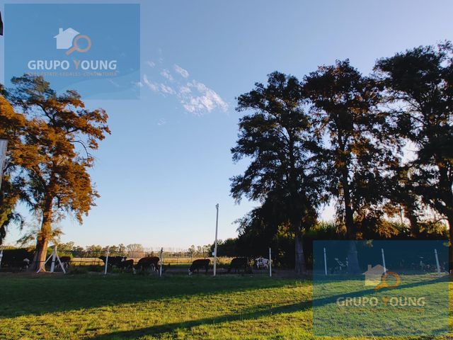 place photo 21