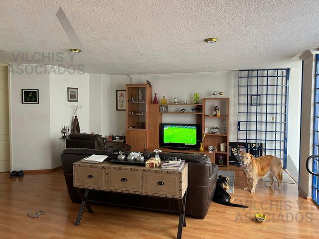 place photo 66