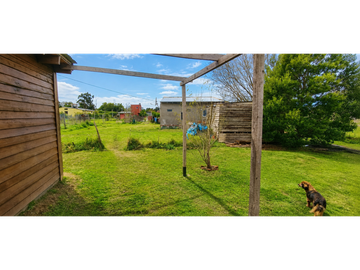 place photo 12