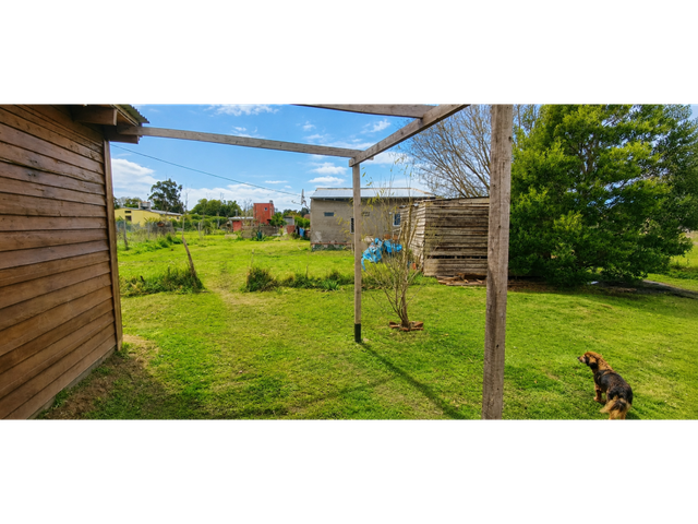 place photo 12