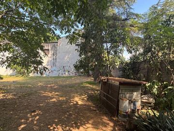 place photo 41