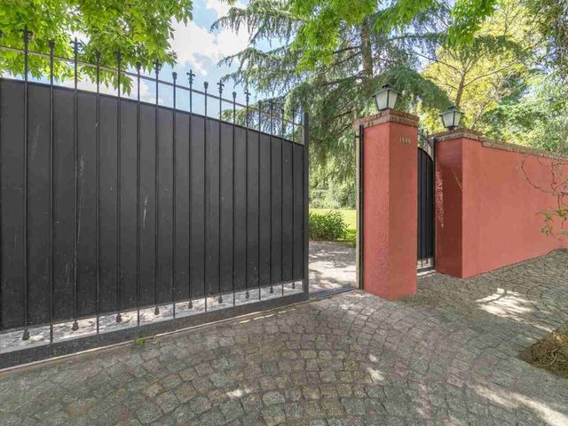 place photo 33
