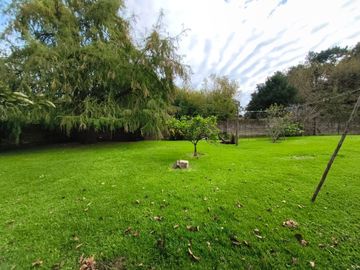 place photo 45