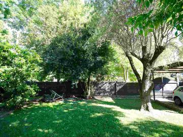 place photo 20