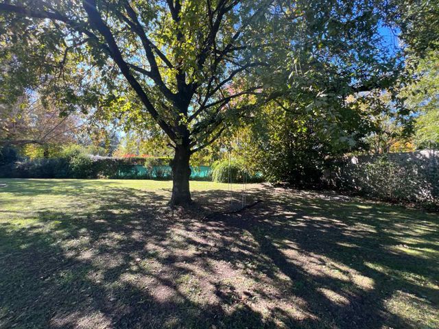 place photo 33