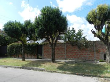 place photo 45