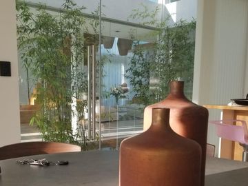 place photo 30