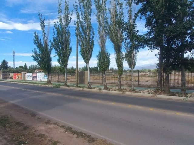 place photo 20