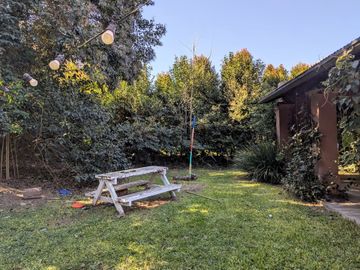 place photo 44
