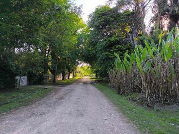 place photo 33