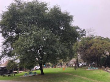 place photo 27