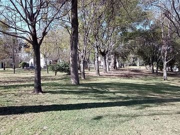 place photo 22