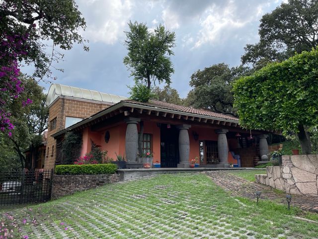 place photo 36